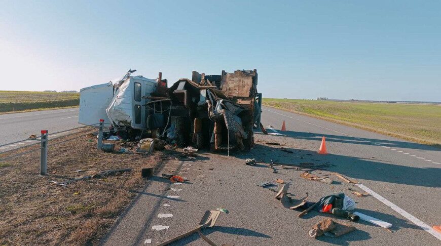 Фургон опрокинулся на трассе М5 из-за влетевшей в кабину осы