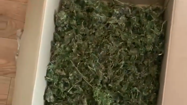 Килограмм марихуаны. Задержали потребителя и продавца из Бобруйска (видео)