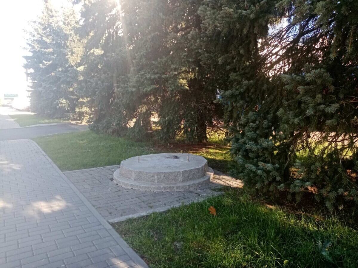 Где бобр? Спрашивают бобруйчане
