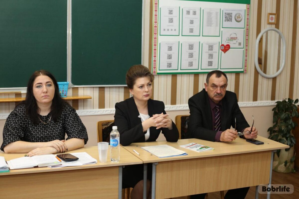 Депутат Палаты представителей Нацсобрания Ирина Рынейская провела ряд встреч по обсуждению законопроекта о ВНС