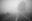 Туманы и до +18°С на этой неделе