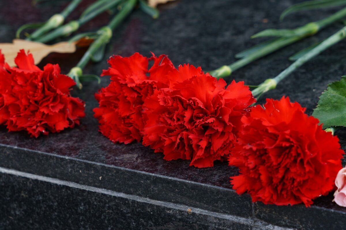 В банк данных «Книга Памяти Республики Беларусь» внесены сведения о более чем 550 тыс. погибших