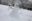 В Бобруйске открыта фотоохота на снеговиков!