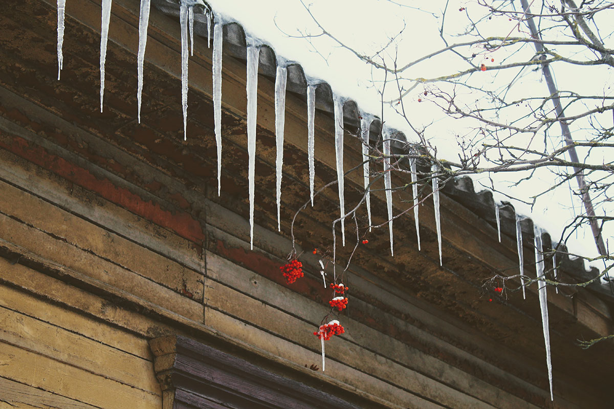 Оранжевый уровень опасности из-за сильного снега объявлен в Беларуси на 25 ноября