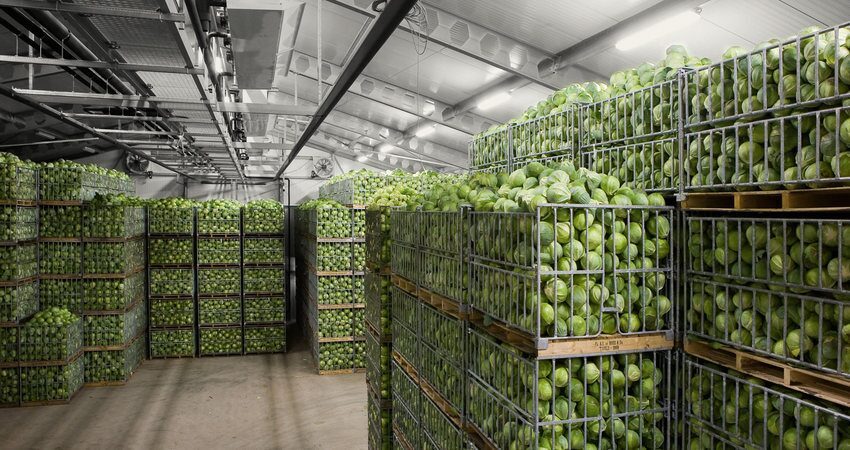 В Беларуси почти на 100% выполнен план по закладке продукции в стабфонды