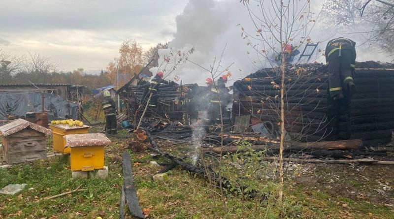 В Могилевском районе пенсионер хотел уничтожить осиные гнезда, а спалил сарай