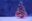 Массовая торговля новогодними елями и соснами развернется в Беларуси с 22 декабря