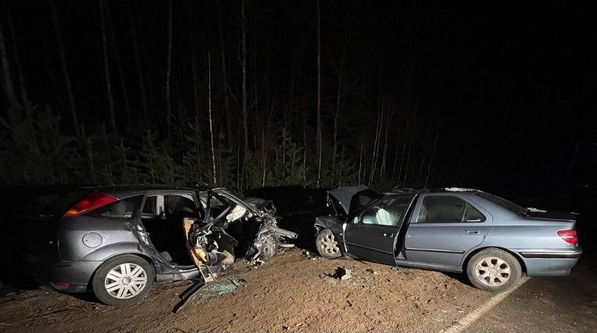 Два человека погибли в ДТП в Бобруйском районе
