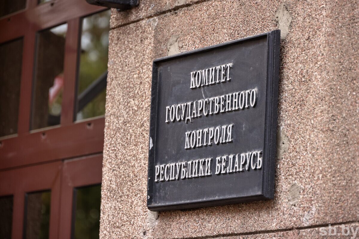 Рассмотрены результаты контроля социально-экономического развития