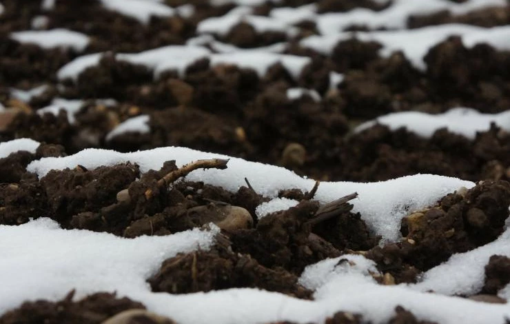 Белгидромет рассказал о состоянии почвы в условиях оттепели