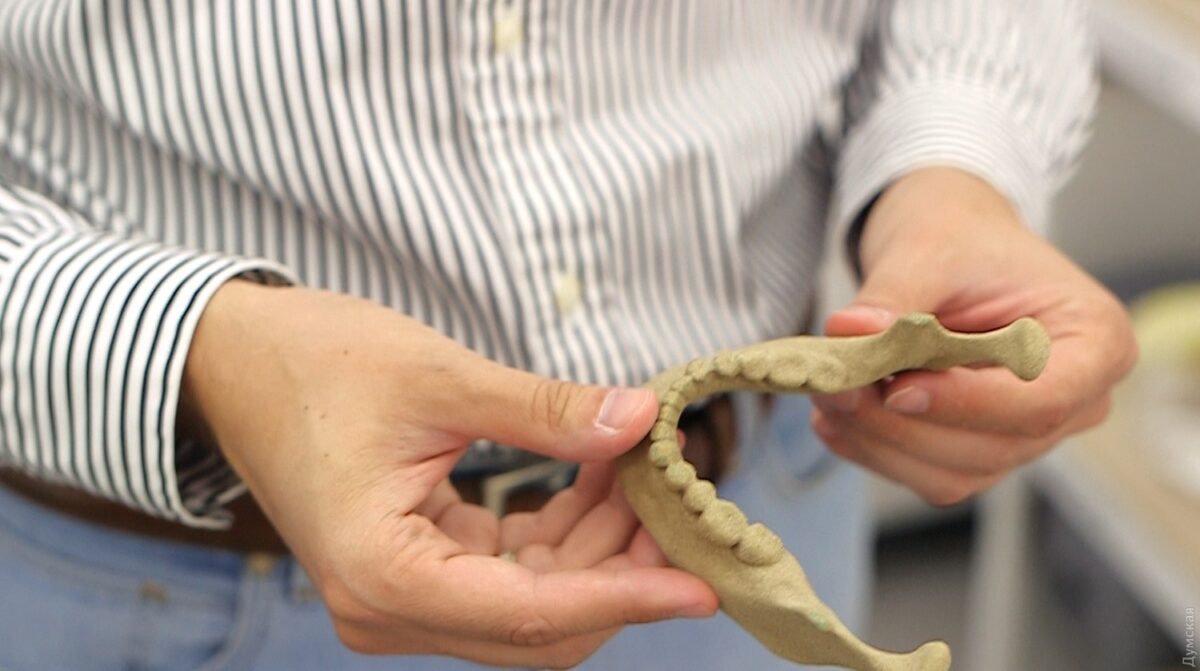 Печать 3D-моделей костей черепа наладили в гродненском медвузе