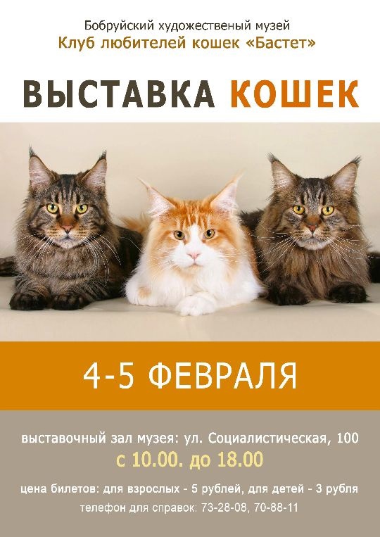 В Бобруйске пройдет выставка кошек