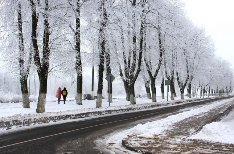 Снег, гололедицу и сильный ветер прогнозируют в Беларуси 12 января