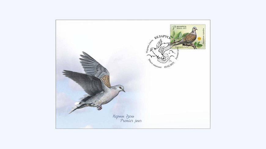 Минсвязи выпустит в обращение почтовую марку «Обыкновенная горлица»