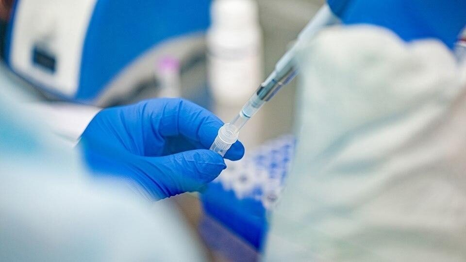 ВОЗ сообщила об увеличении смертности от ковида на 65% за четыре недели