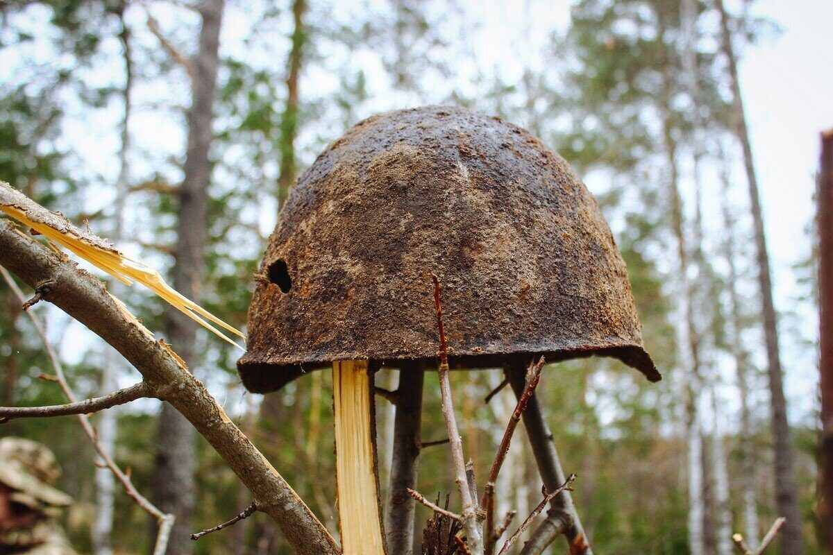 В апреле «Виккру» планирует начать новый поисковый сезон в восьми районах Могилевской области