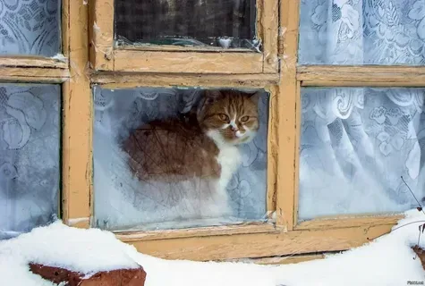 Преимущественно без осадков, гололедица и до -13 °С