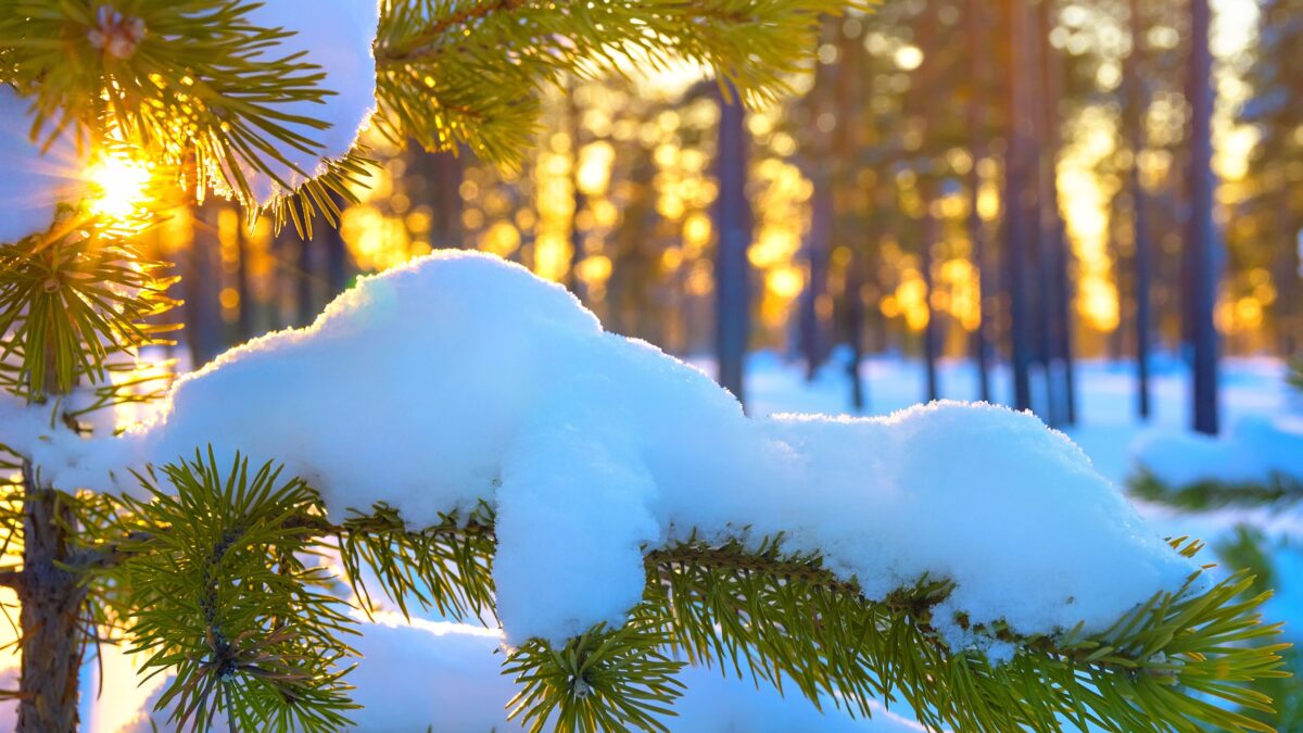 Похолодание, кратковременный снег и гололедица. Погода в Беларуси 3-8 февраля