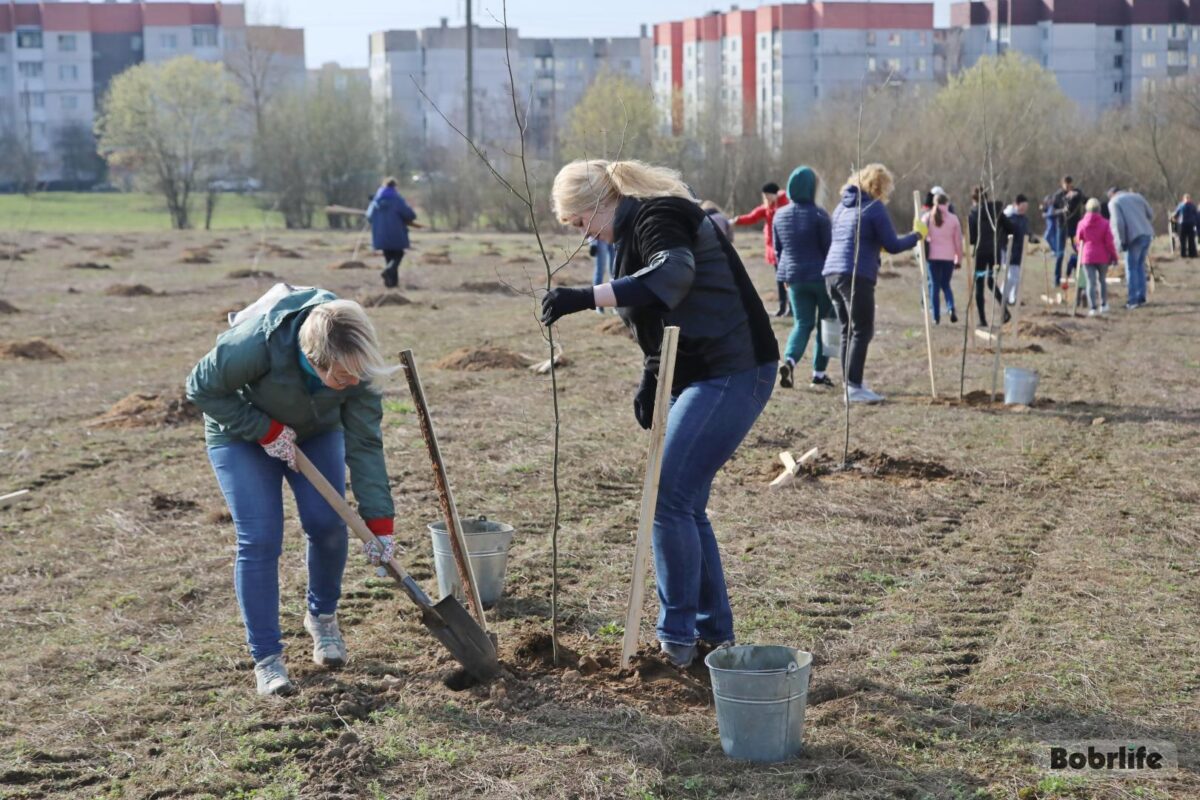 Республиканский субботник-2023: куда перечислять деньги, на что пойдут собранные средства и как сложилась эта традиция
