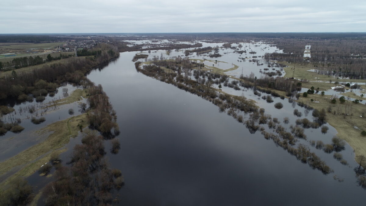 Когда вода у порога. Уровень воды в Березине уже превысил опасную отметку