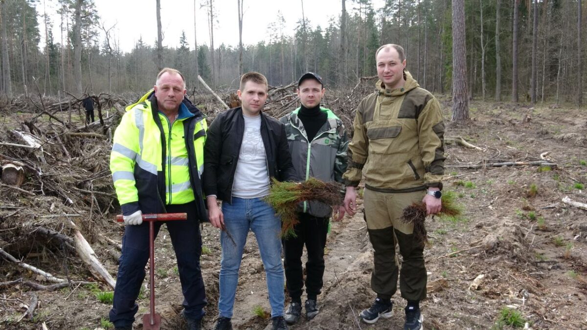 Леса в Бобруйском районе посещать можно bobruisk.ru