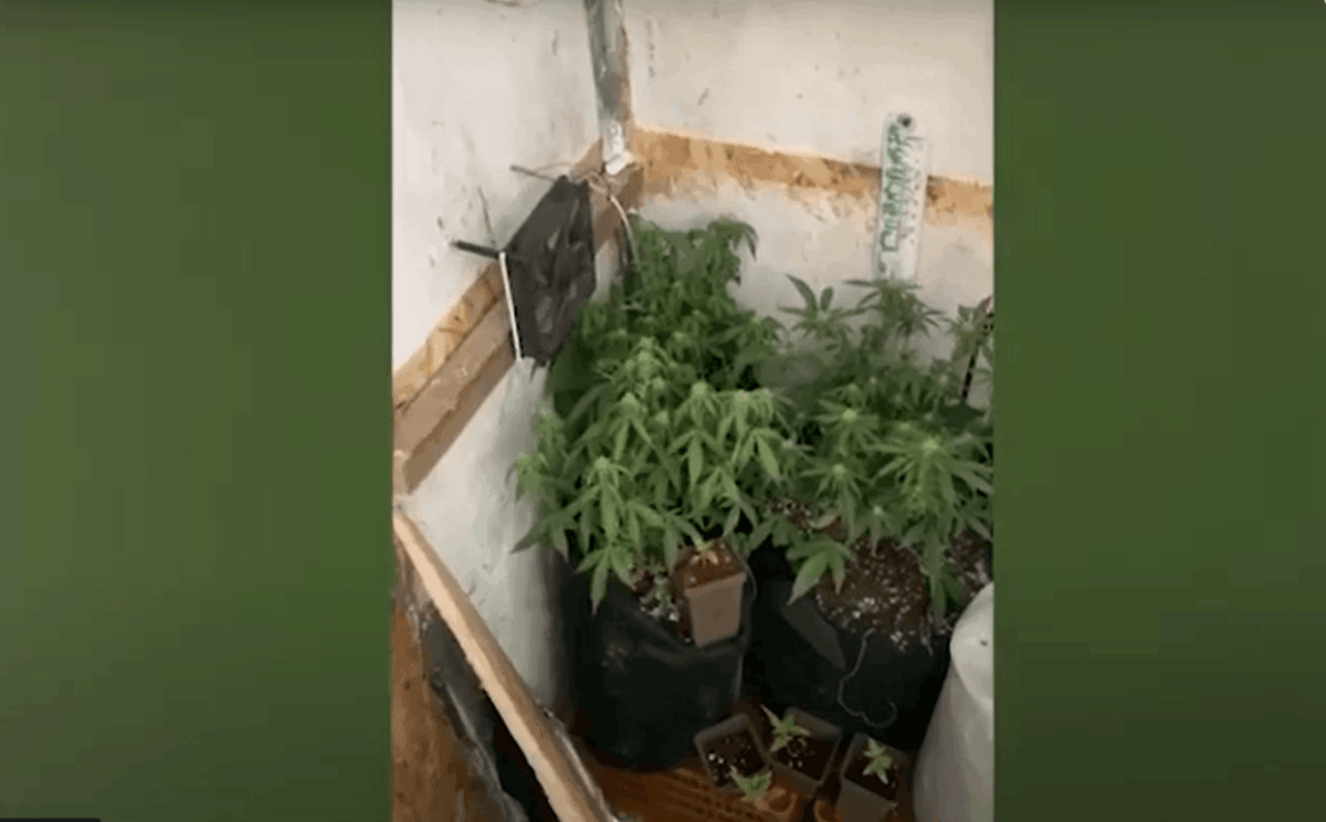 В Бобруйске ликвидирована нарколаборатория