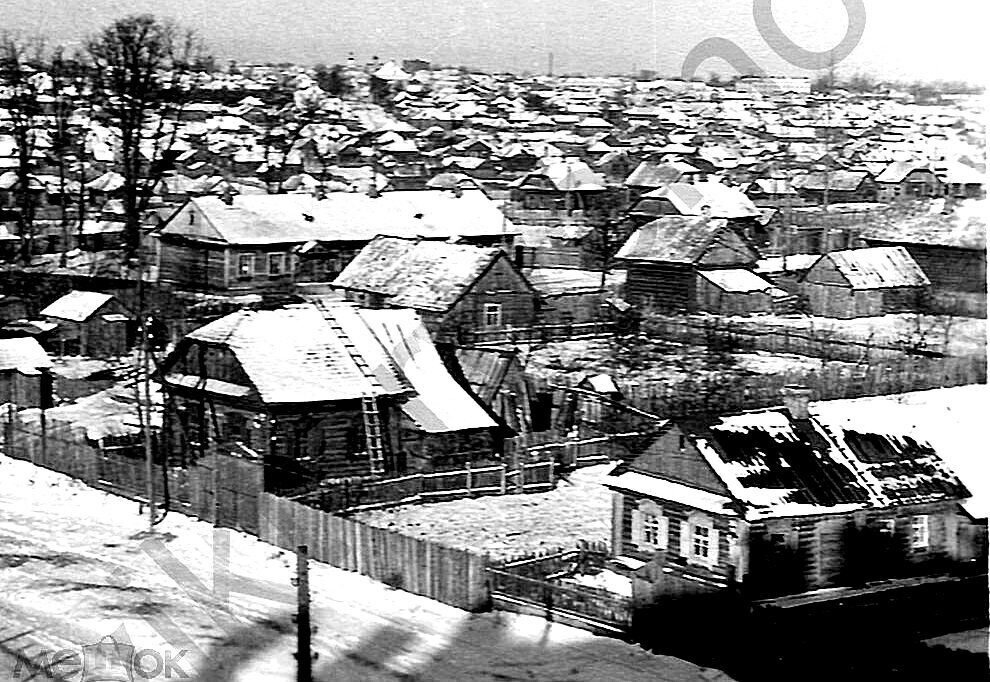 И лес ощетинился штыками. Из партизанских былей Бобруйщины