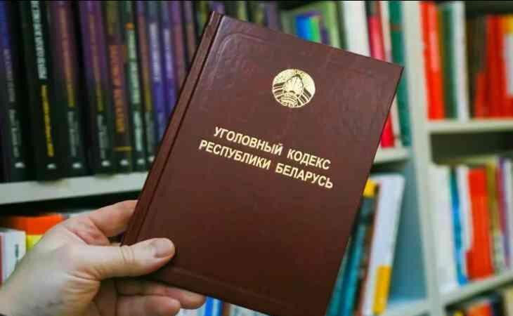 Бобруйские правоохранители установили жительницу Пинска, которая снимала и распространяла порно
