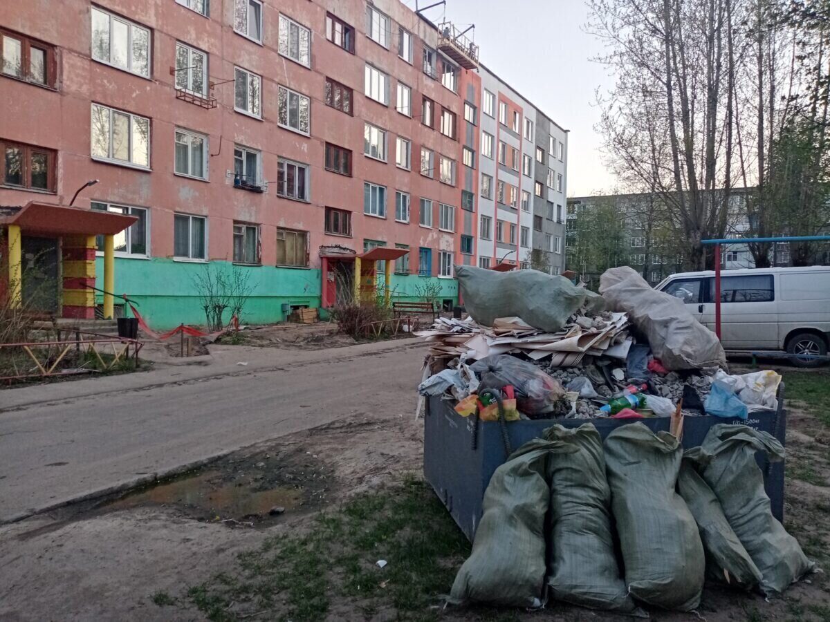 И как же это выросло? Бобруйчане о дворовых свалках
