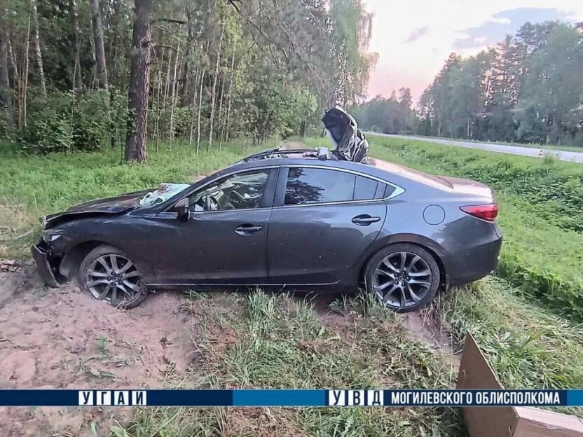 В Быховском районе Mazda наехала на лося — водитель и пассажир в больнице