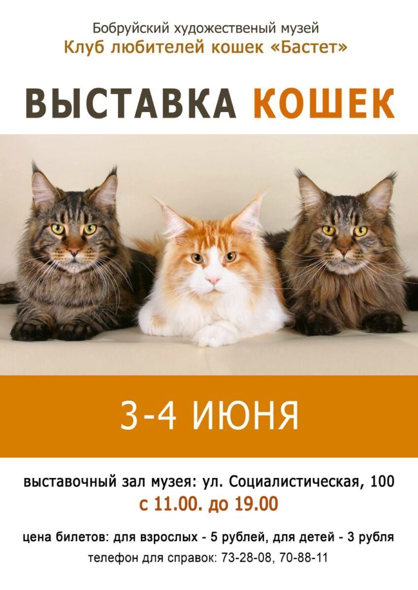 С 3 июня в Бобруйском художественном музее пройдет выставка кошек
