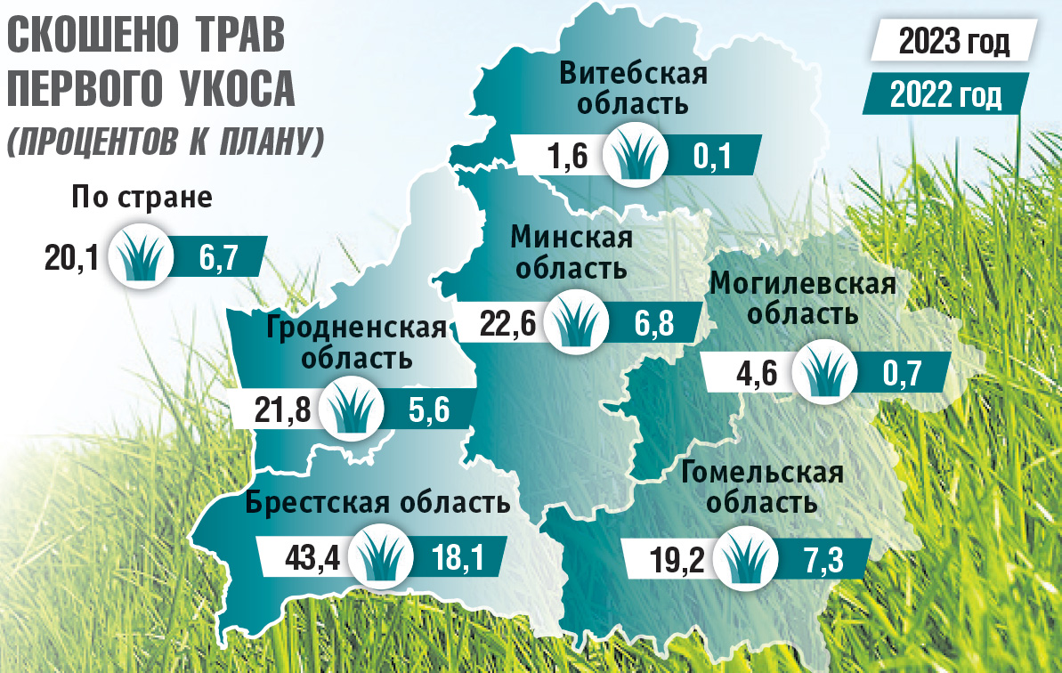 Россия идет в белоруссию. Инфографика на 4 июня. Район в цифрах. 3 Регион Беларусь.