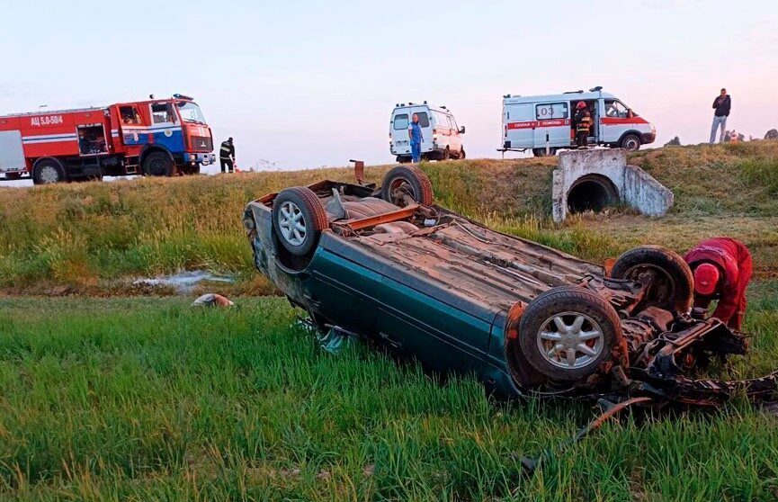 В Могилевской области за выходные выявлено около 780 нарушений ПДД
