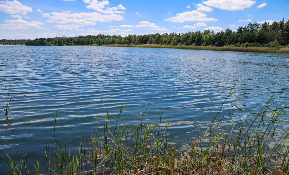 В Беларуси за сутки утонули пять человек, в том числе один ребенок