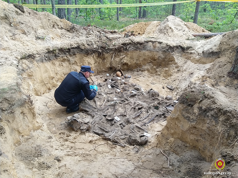 В Кличевском районе в захоронении времен войны обнаружены останки не менее семнадцати мирных граждан