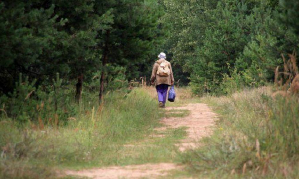 Пенсионерка заблудилась в Бобруйском районе