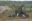 В стране начались тактические учения с боевой стрельбой 147-го зенитного ракетного полка