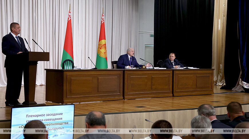 Лукашенко поручил аграриям и ученым разработать эффективную технологию воспроизводства КРС
