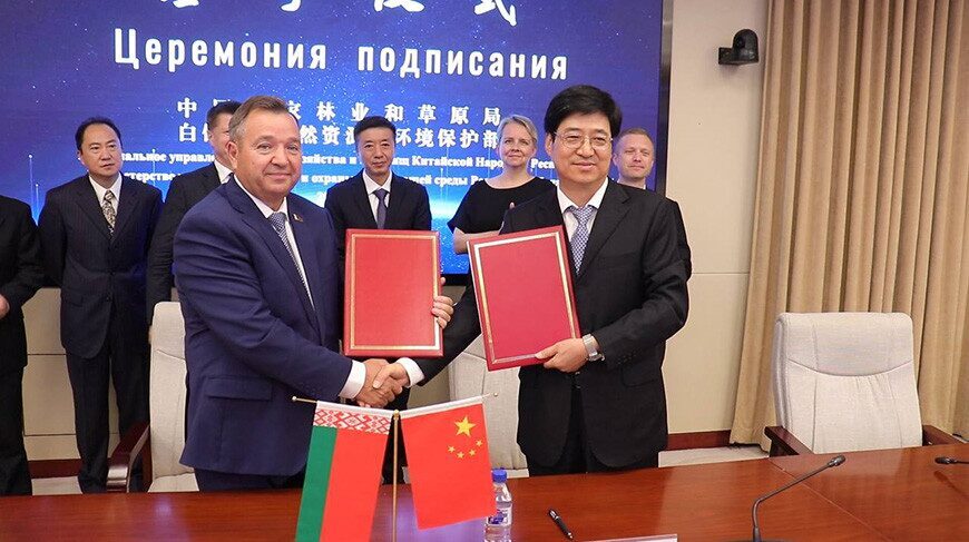 Беларусь и Китай подписали соглашение об охране европейского зубра