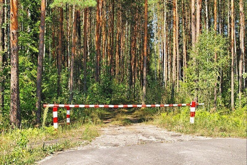 Запреты и ограничения на посещение лесов продолжают действовать во всех 118 районах Беларуси
