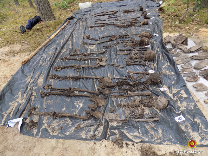 Могилевские судебные эксперты в Кличевском районе исследовали Человеческие останки с места захоронения мирных жителей времен ВОВ