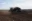В Беларуси намолочено 9350,2 тыс. тонн зерна, включая рапс