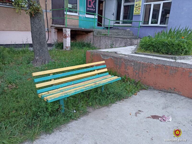 Напал на человека с ножом – в Бобруйске эксперты помогли разобраться в обстоятельствах умышленного причинения тяжких телесных повреждений