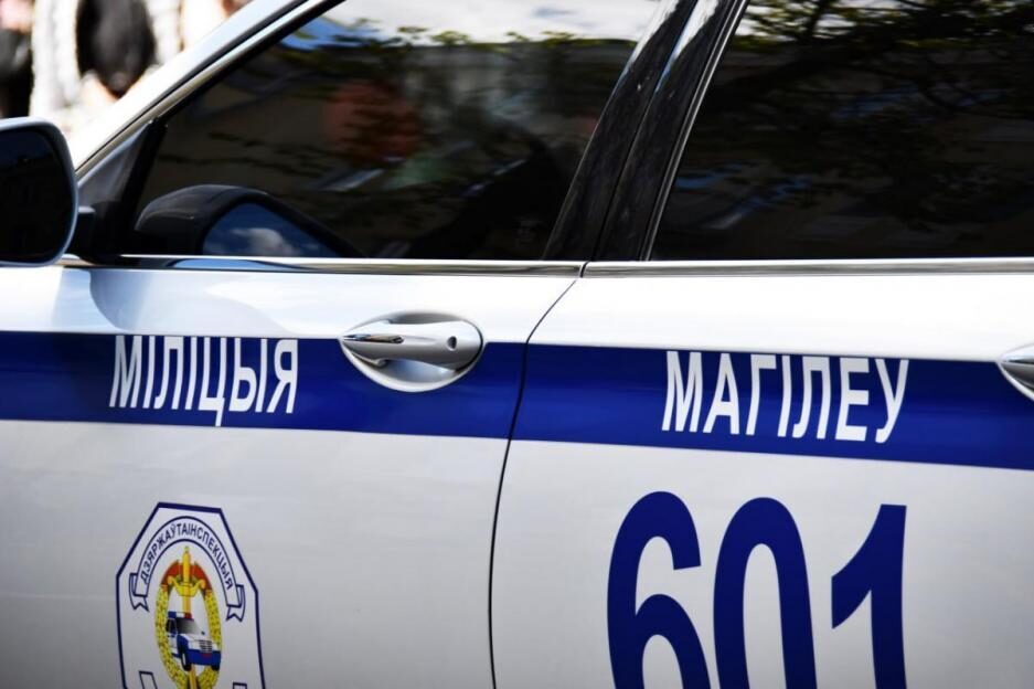 Шесть протоколов составили в отношении водителя в Бобруйске
