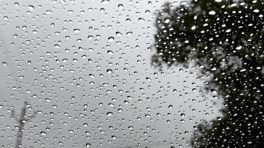 Дождь и до +14°C ожидается сегодня в Беларуси