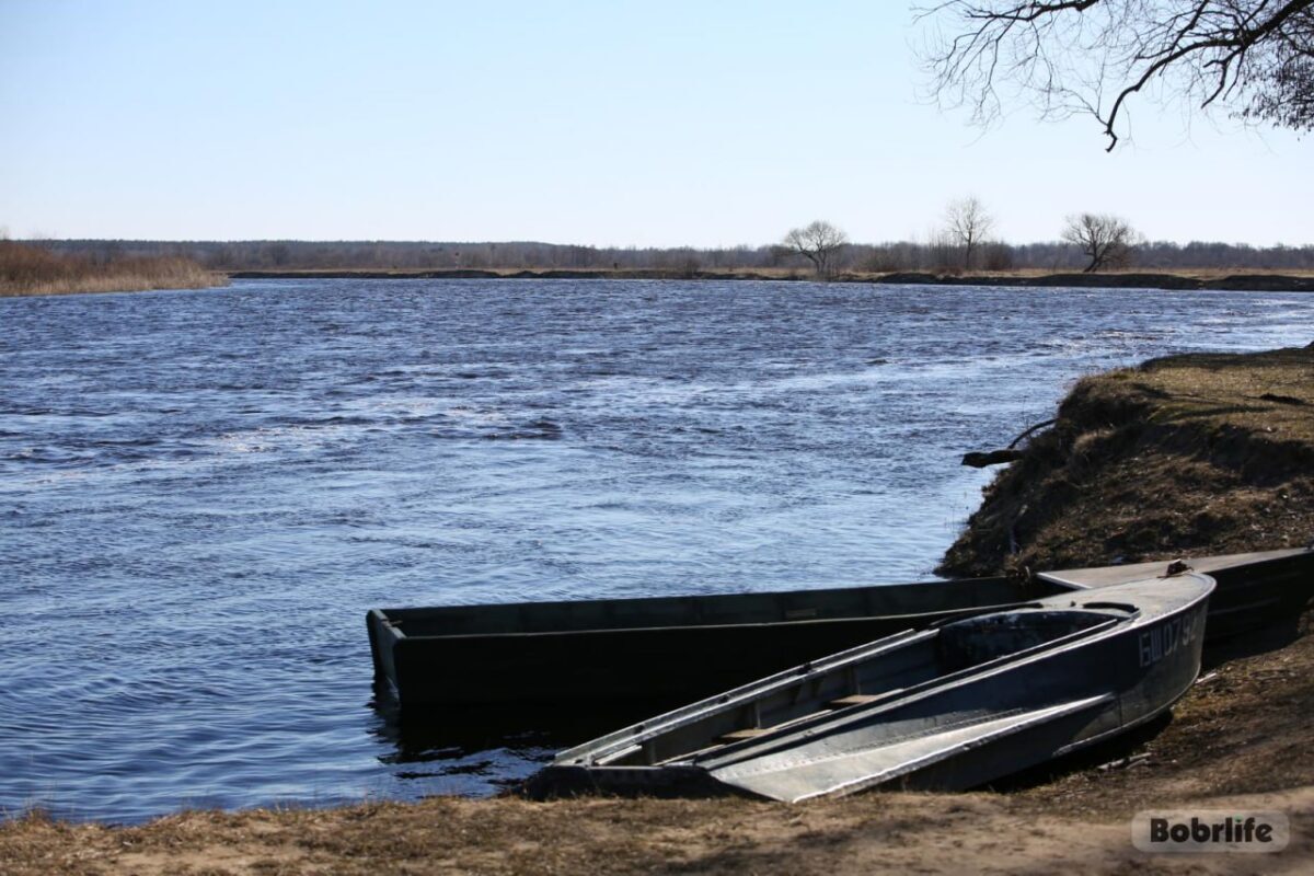 Есть ли паводок на бобруйской Березине