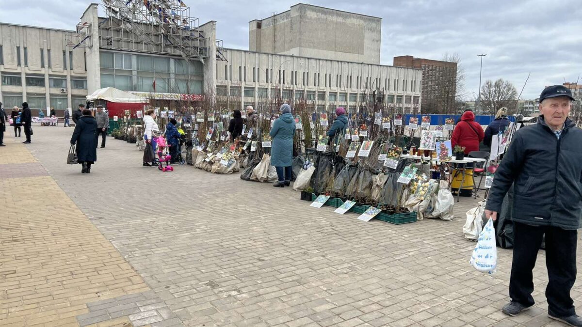 Весенняя ярмарка проходит в Бобруйске