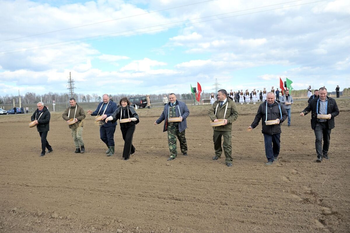 У раёне прайшлі “Засеўкі-2024”