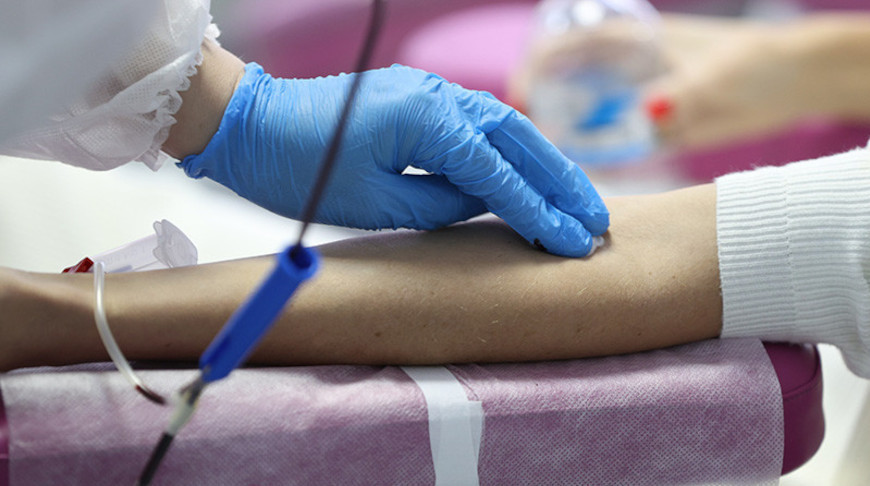 Рекордное количество цельной донорской крови заготовлено в Беларуси в 2023 году