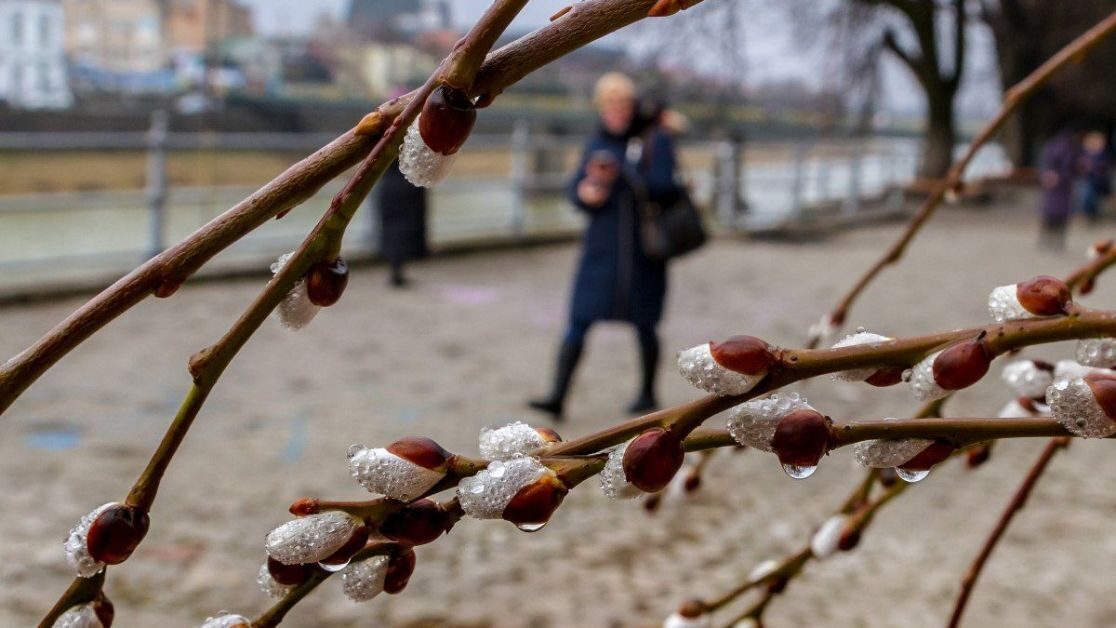 До +26 °С будет в Беларуси 8 апреля